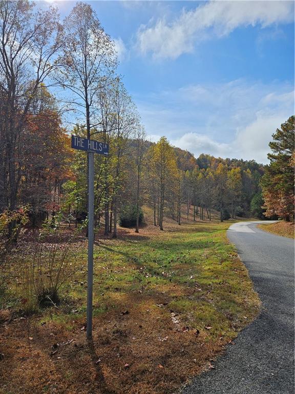 The Hills Lane, Blairsville, Georgia image 7