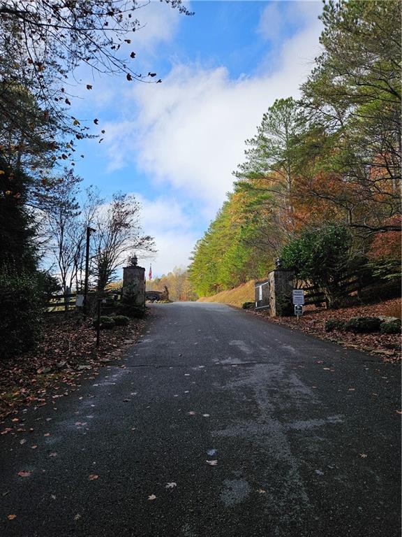 The Hills Lane, Blairsville, Georgia image 3