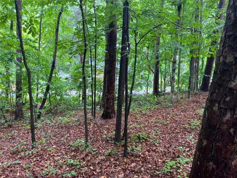 Vacant Land For Sale - Lake Club Drive<br/> Lavonia, GA 30553