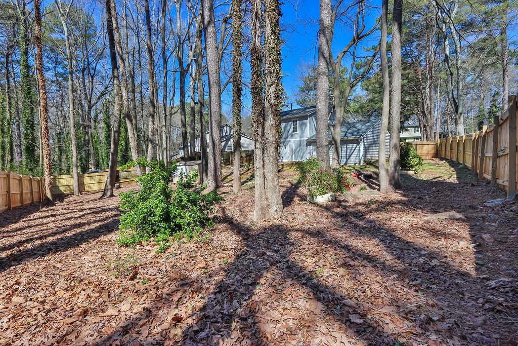 4663 Hairston Crossing Place, Stone Mountain, Georgia image 28