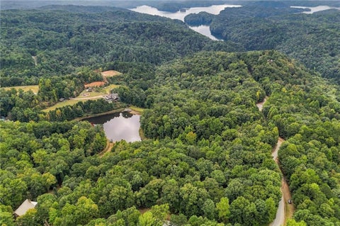 Vacant Land For Sale - Lakeland Drive<br/> Ellijay, GA 30540