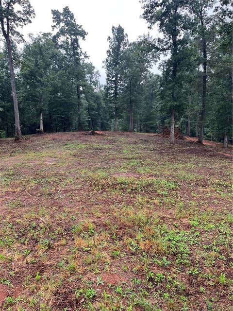 Homes For Sale - 100 Red Plum Drive<br/> Ellijay, GA 30540