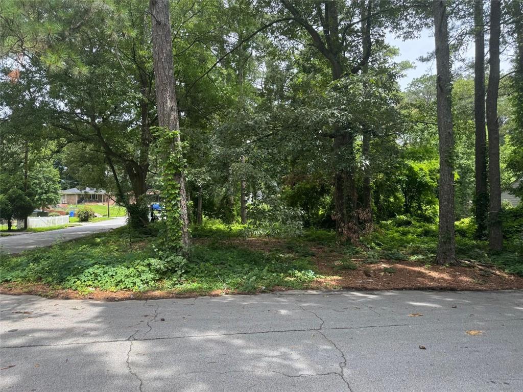 2529 Oldknow Drive, Atlanta, Georgia image 4