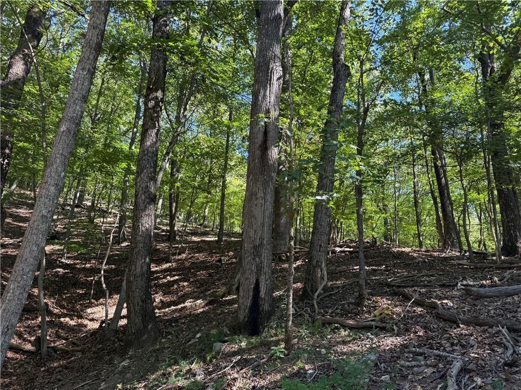 0 Moss Patch Trail