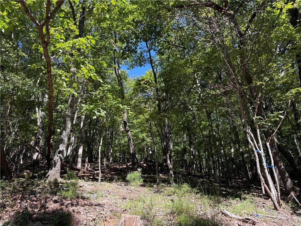 0 Moss Patch Trail