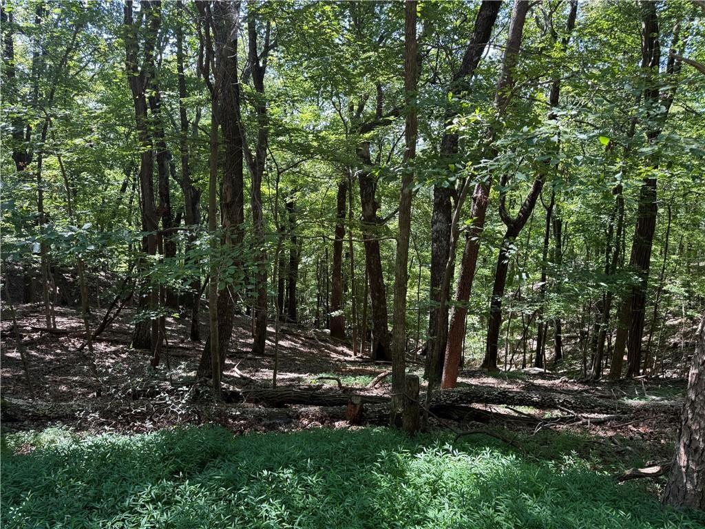 0 Moss Patch Trail