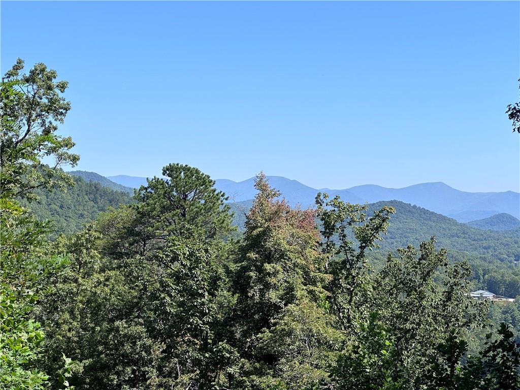 Ivy Ridge Way, Clarkesville, Georgia image 7
