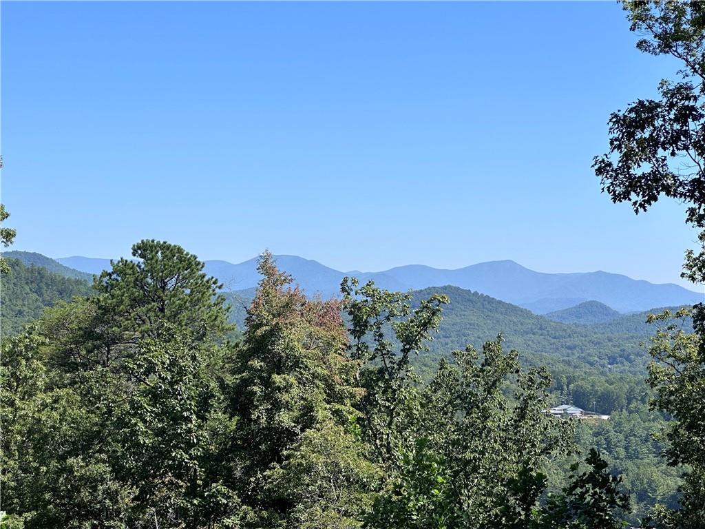 Ivy Ridge Way, Clarkesville, Georgia image 8