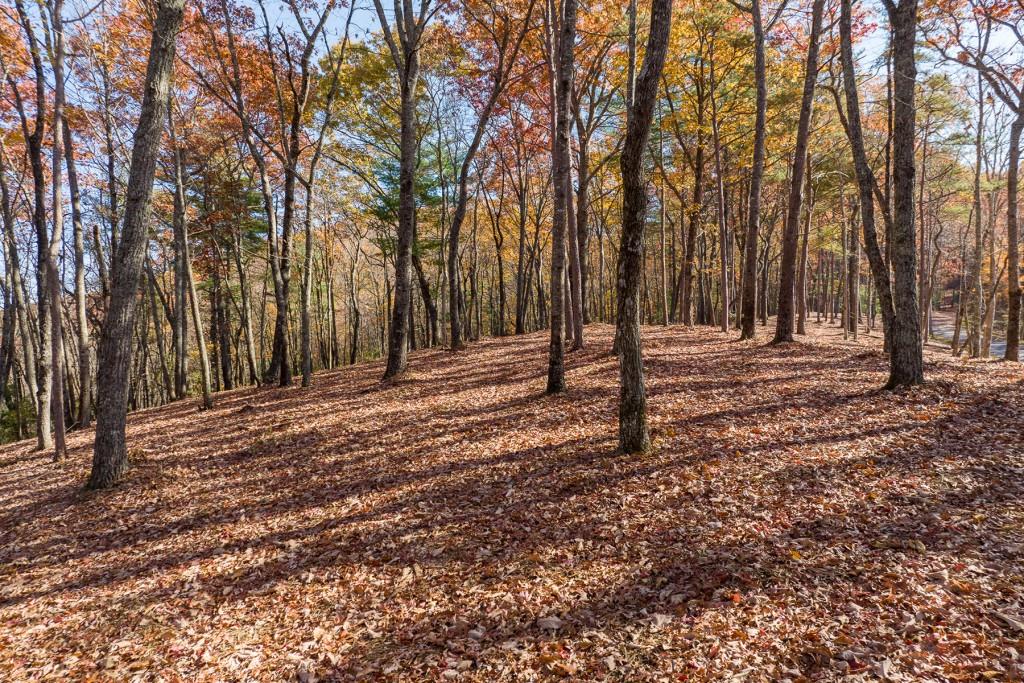 LOT 41 Preserve Trail, Ellijay, Georgia image 7