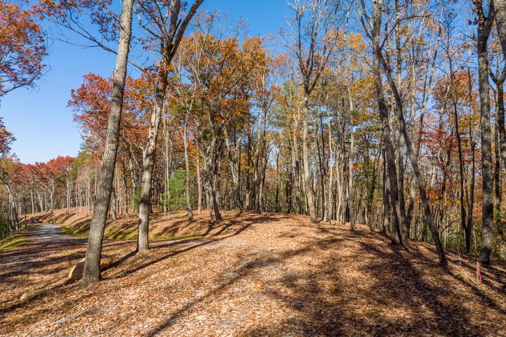 LOT 41 Preserve Trail, Ellijay, Georgia image 12