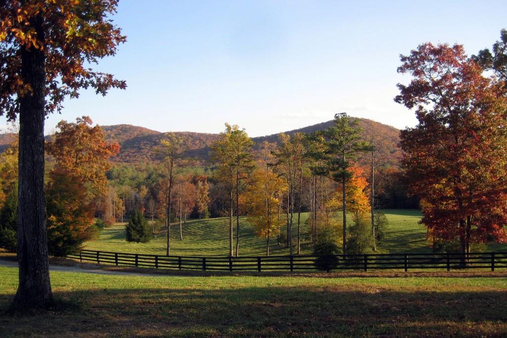 LOT 41 Preserve Trail, Ellijay, Georgia image 25