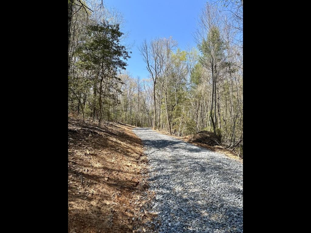 2.4 East New Hope Road, Ellijay, Georgia image 1