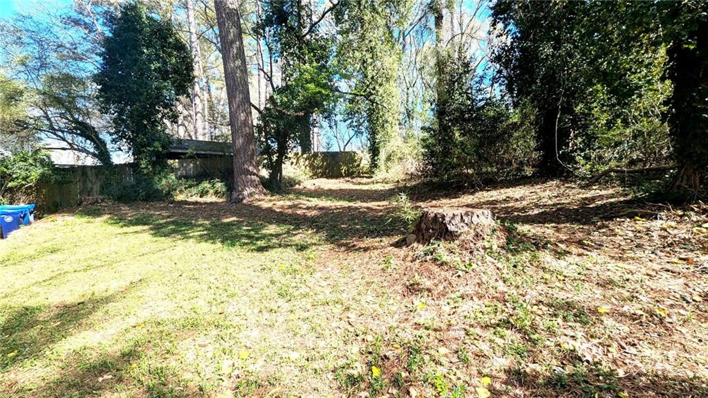 424 Wilkinson Drive SE