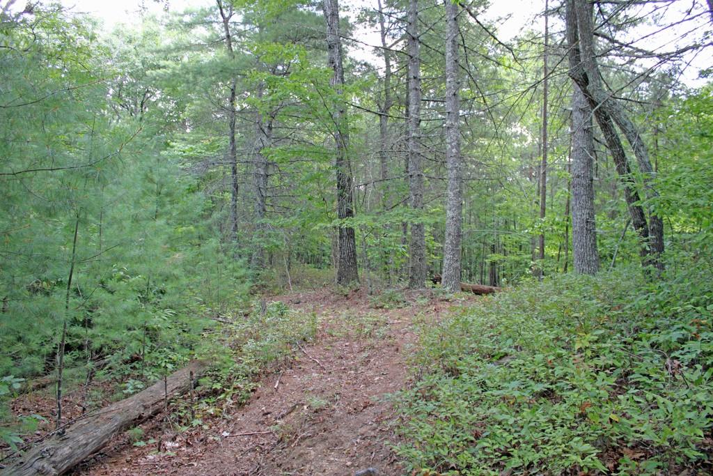 80 AC Shangri La Drive, Mineral Bluff, Georgia image 28