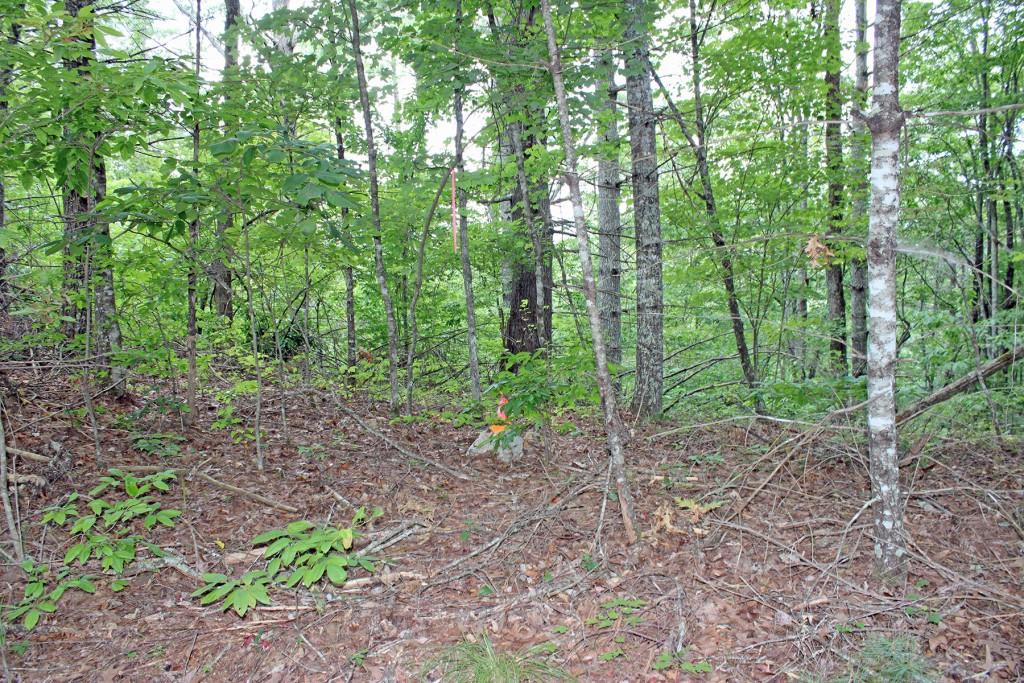 80 AC Shangri La Drive, Mineral Bluff, Georgia image 33