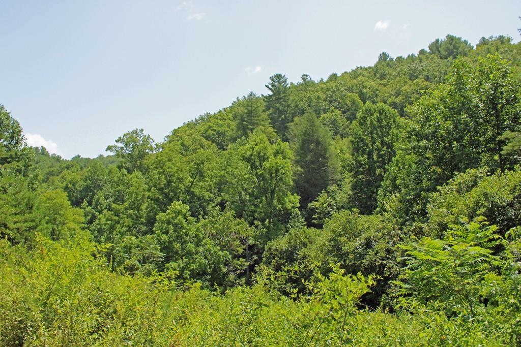 80 AC Shangri La Drive, Mineral Bluff, Georgia image 13