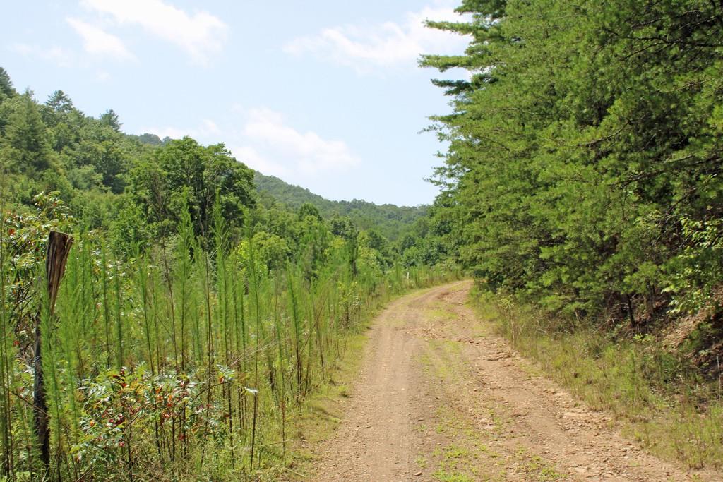 80 AC Shangri La Drive, Mineral Bluff, Georgia image 18