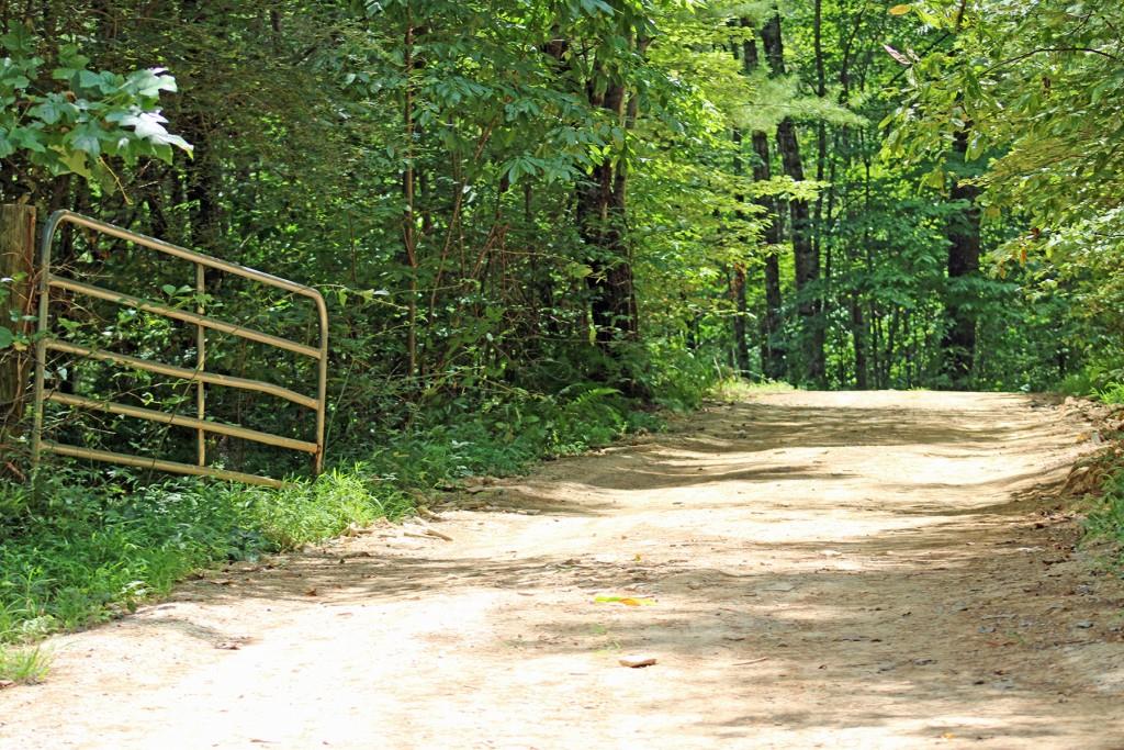 80 AC Shangri La Drive, Mineral Bluff, Georgia image 38