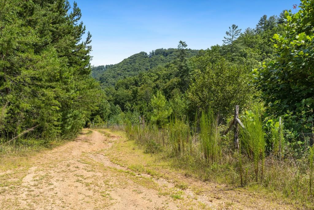 80 AC Shangri La Drive, Mineral Bluff, Georgia image 12