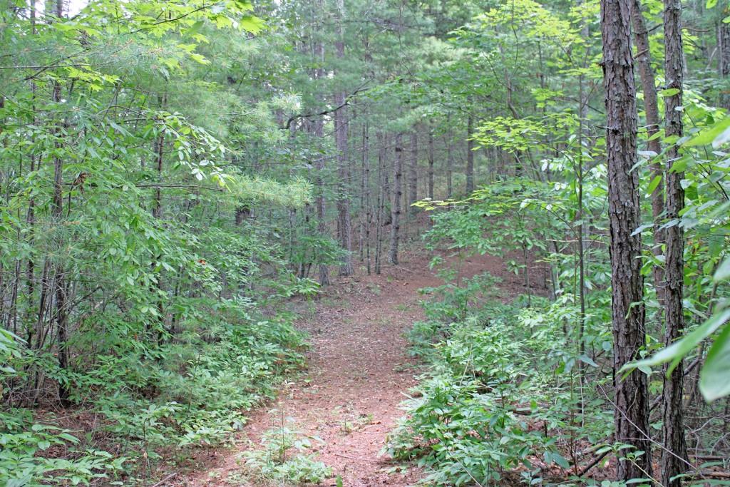 80 AC Shangri La Drive, Mineral Bluff, Georgia image 32