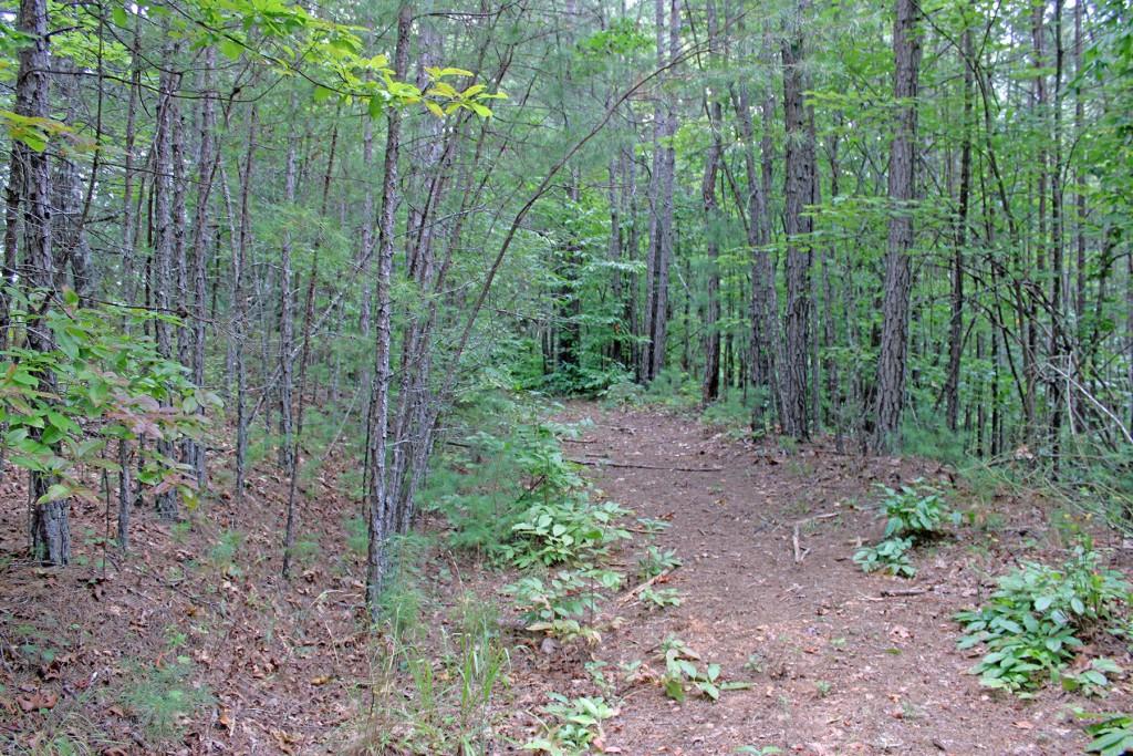 80 AC Shangri La Drive, Mineral Bluff, Georgia image 30