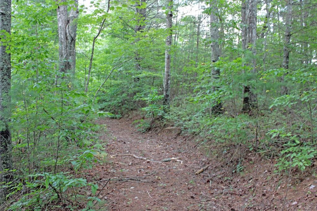 80 AC Shangri La Drive, Mineral Bluff, Georgia image 25