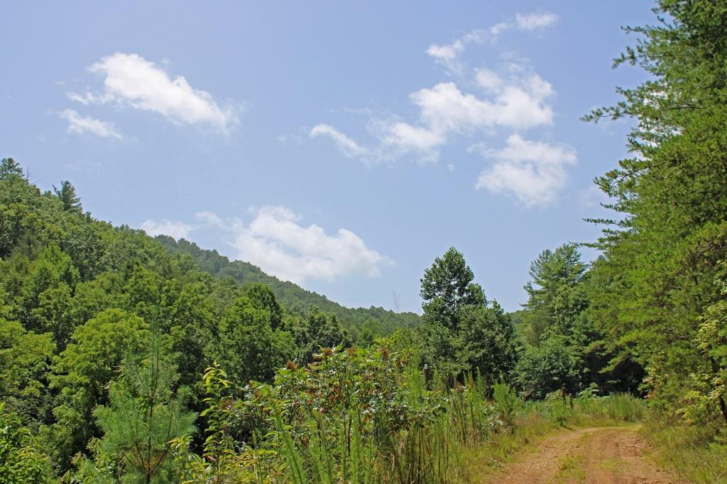 80 AC Shangri La Drive, Mineral Bluff, Georgia image 19