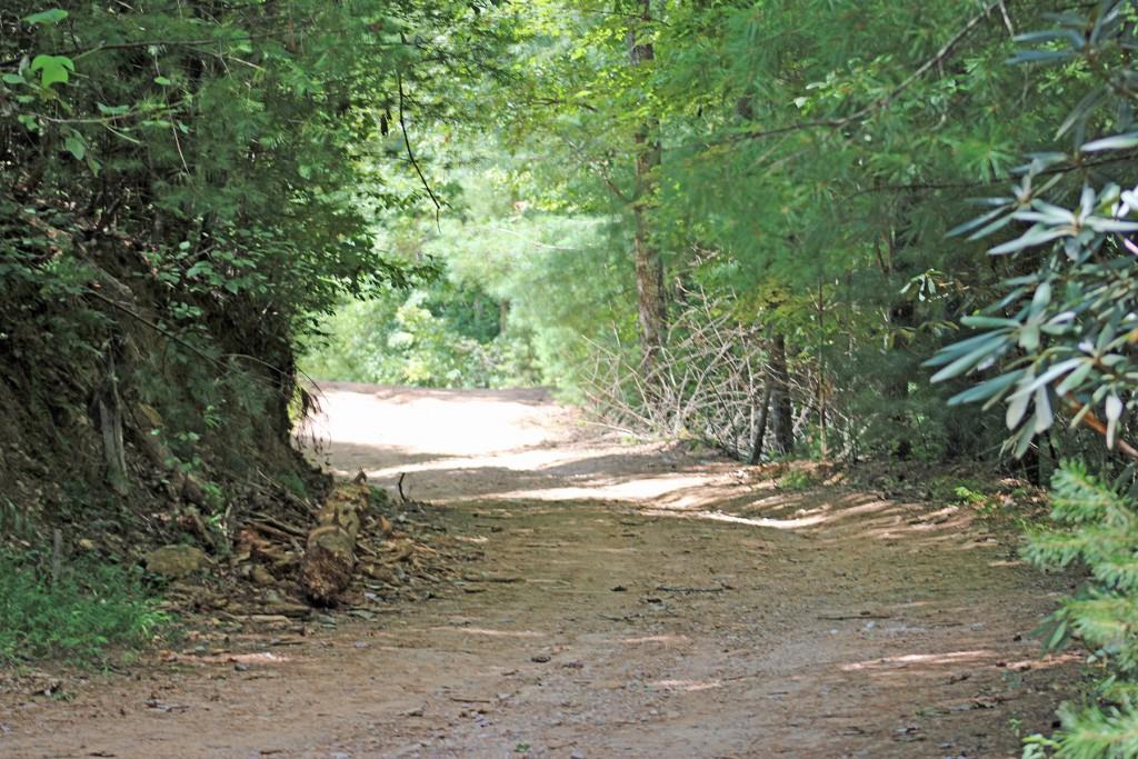 80 AC Shangri La Drive, Mineral Bluff, Georgia image 36