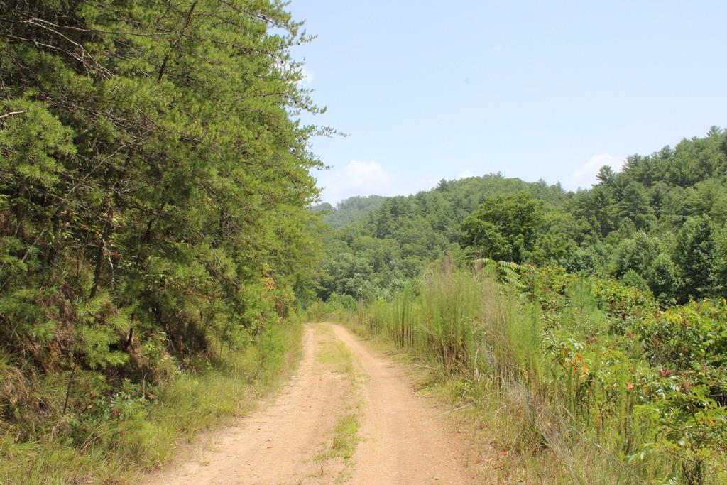 80 AC Shangri La Drive, Mineral Bluff, Georgia image 14