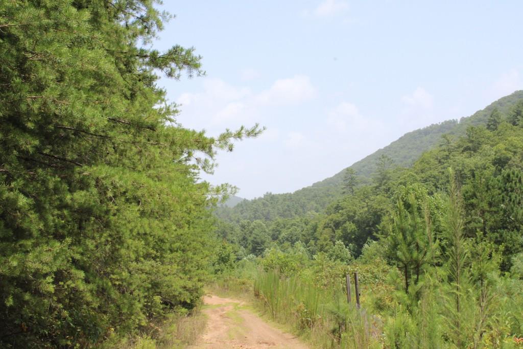 80 AC Shangri La Drive, Mineral Bluff, Georgia image 16