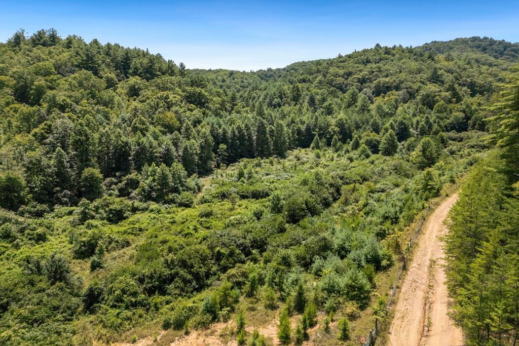 80 AC Shangri La Drive, Mineral Bluff, Georgia image 4