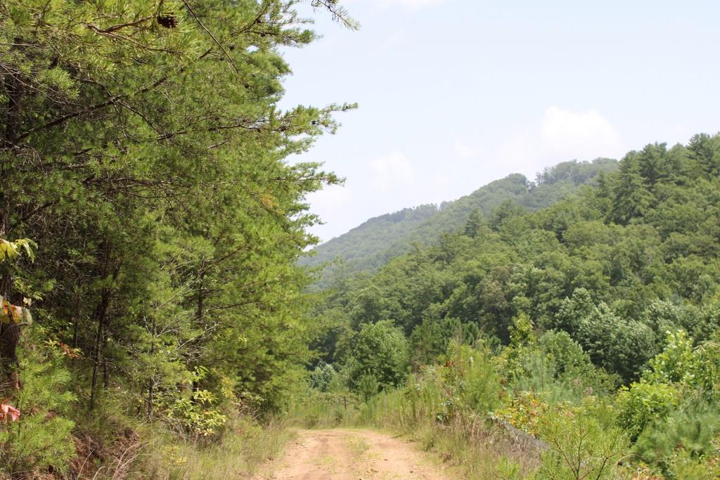 80 AC Shangri La Drive, Mineral Bluff, Georgia image 15