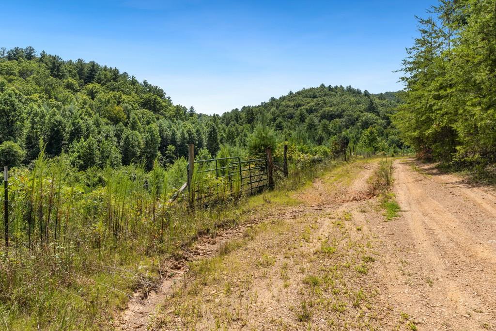 80 AC Shangri La Drive, Mineral Bluff, Georgia image 11