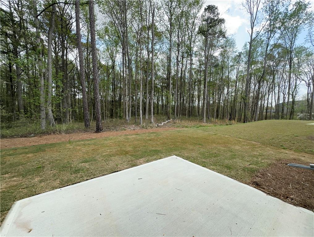 203 Fox Creek Drive, Braselton, Georgia image 25