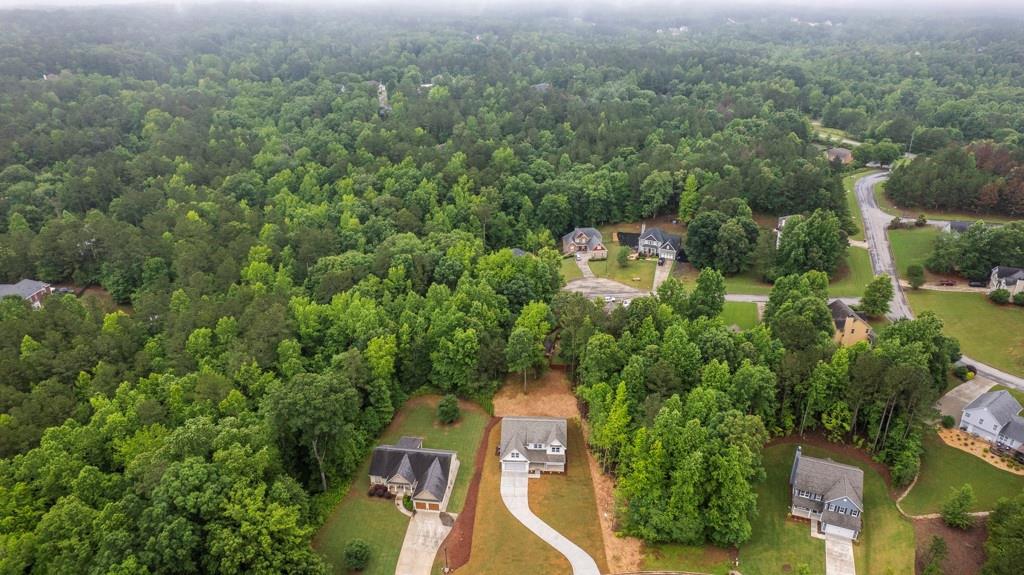 112 Radian Court, Dallas, Georgia image 45