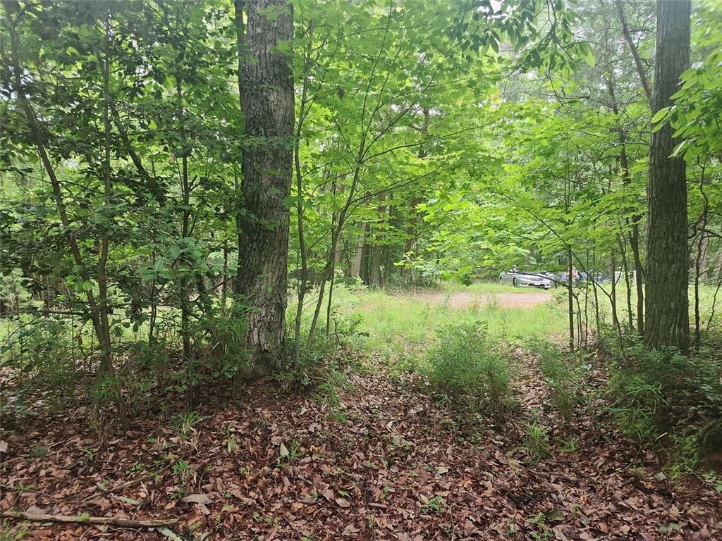 287 Glade Branch Road, Dahlonega, Georgia image 14