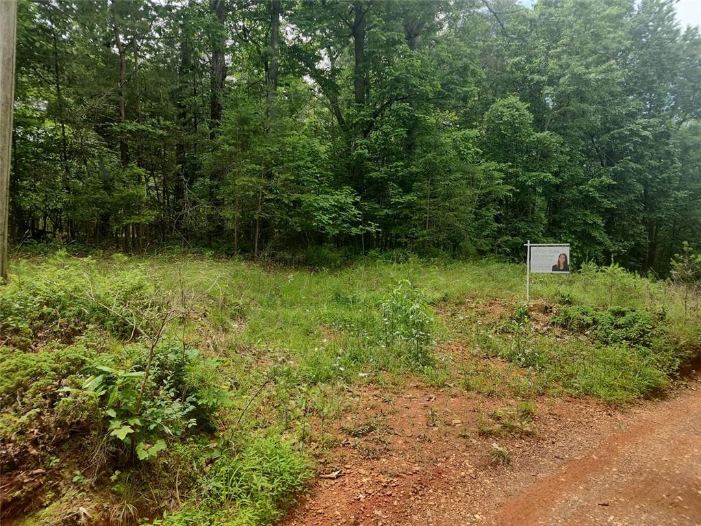 287 Glade Branch Road, Dahlonega, Georgia image 18