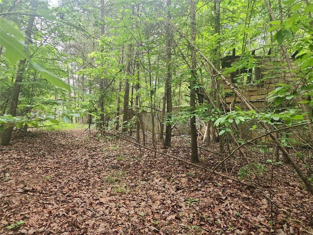 287 Glade Branch Road, Dahlonega, Georgia image 22