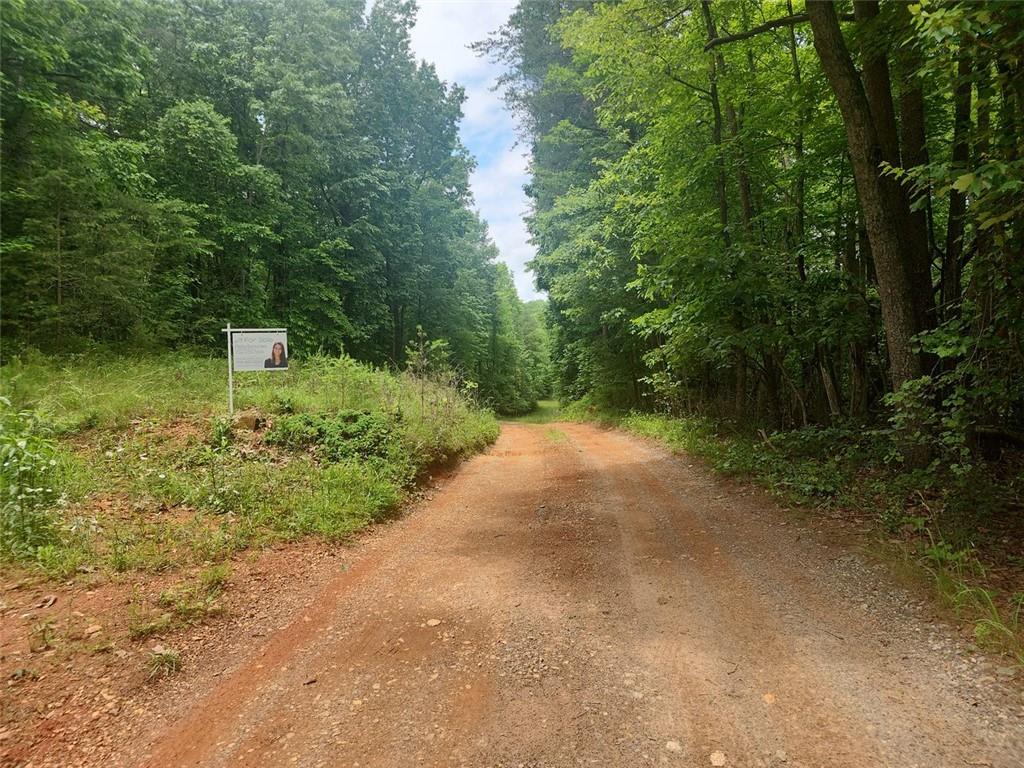 287 Glade Branch Road, Dahlonega, Georgia image 19