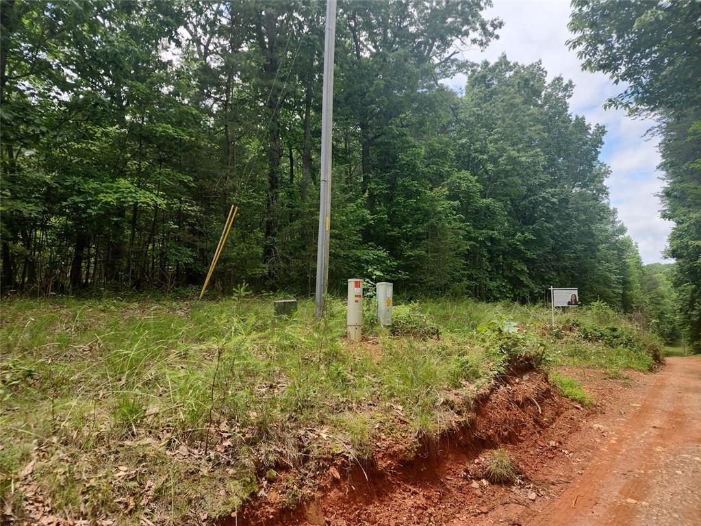 287 Glade Branch Road, Dahlonega, Georgia image 17