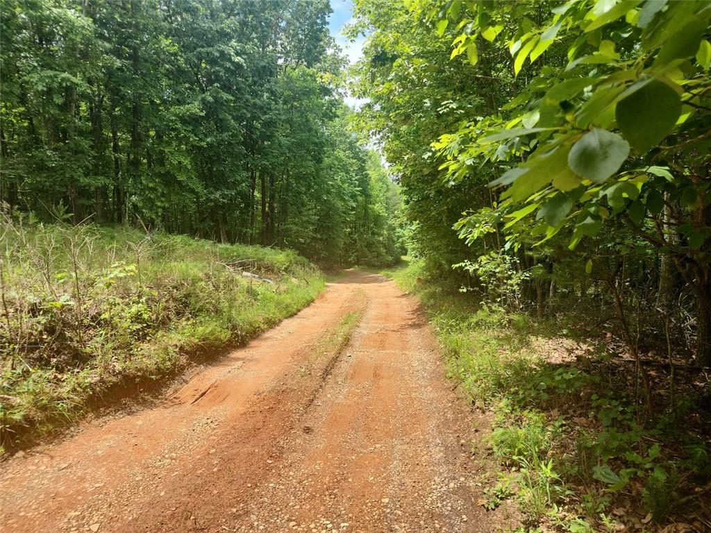 287 Glade Branch Road, Dahlonega, Georgia image 20
