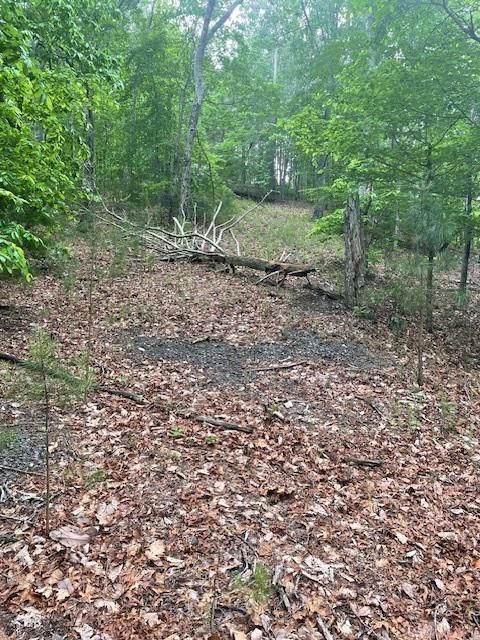 Vacant Land For Sale - 356 Orieole Court<br/> Ranger, GA 30734