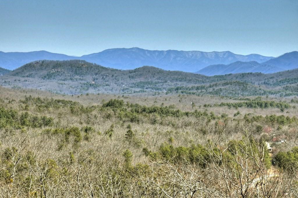287 Scouts Overlook Lane