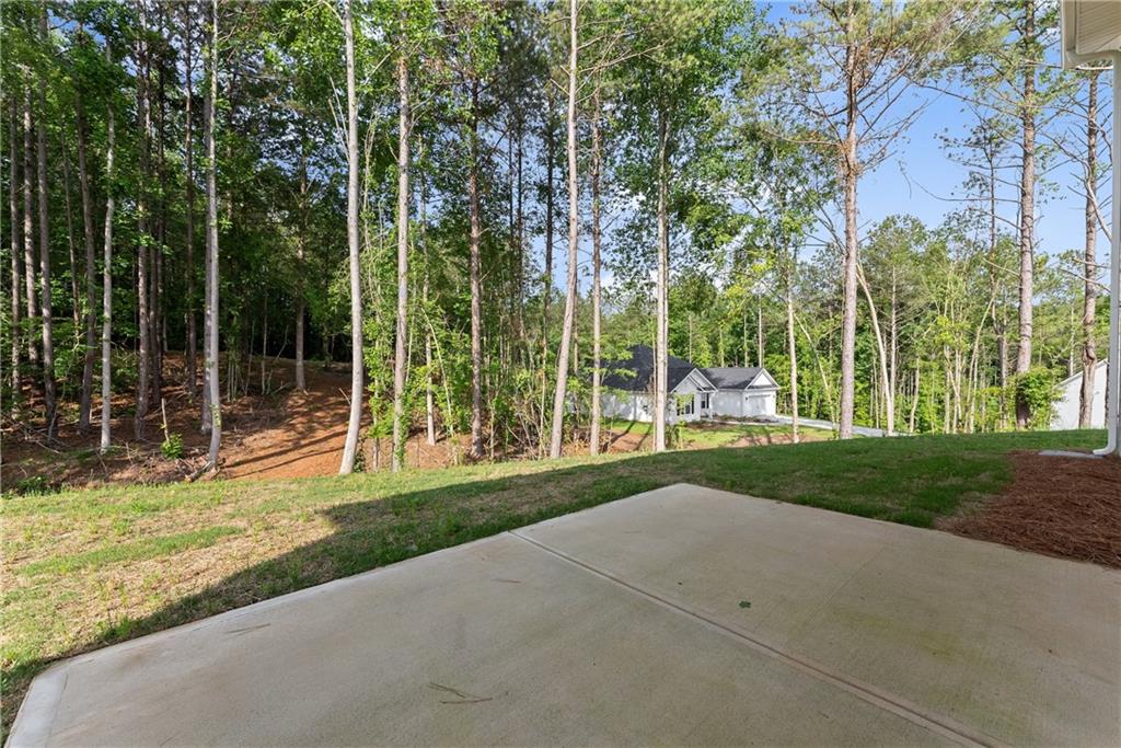 89 Liberty Freedom Lane, Maysville, Georgia image 27