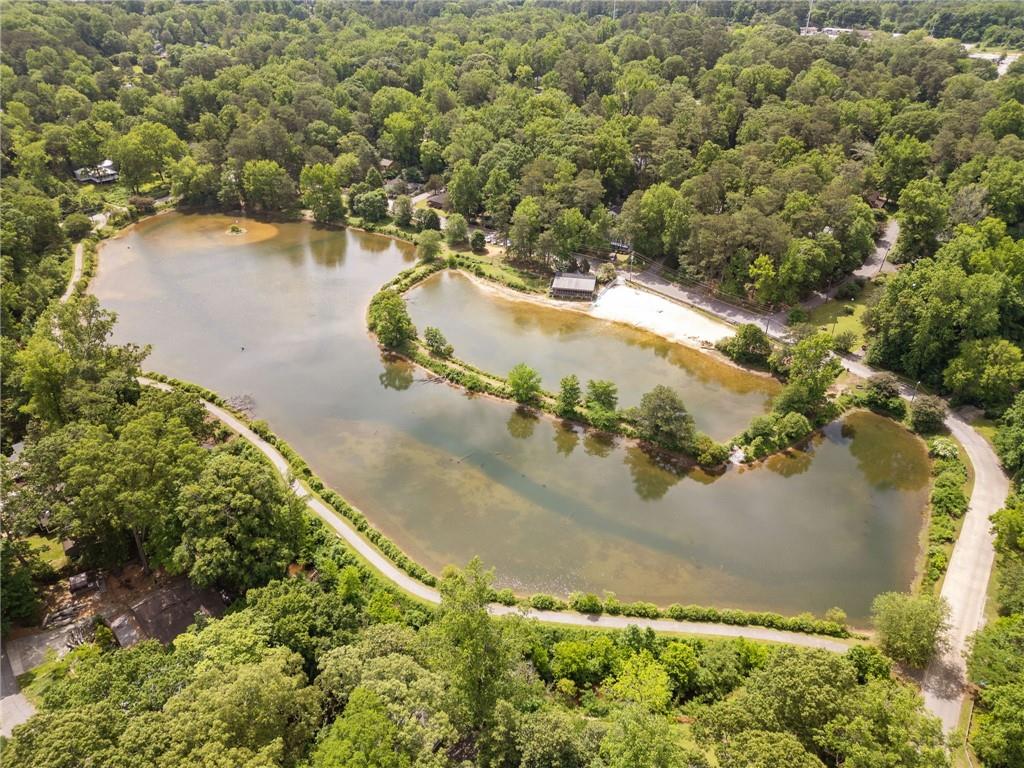 4649 Dahlia Drive, Pine Lake, Georgia image 39