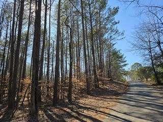 Lake Louella Road, Suwanee, Georgia image 1