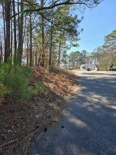 Lake Louella Road, Suwanee, Georgia image 6