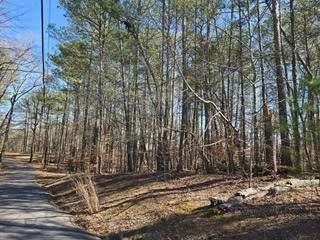 Lake Louella Road, Suwanee, Georgia image 2