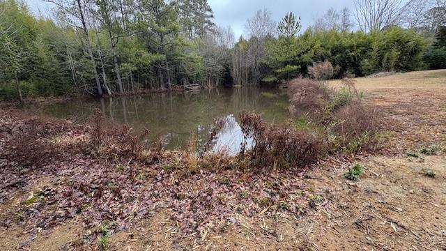 1537 Hartwell Highway, Elberton, Georgia image 9