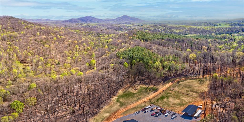 500 Chapman Ridge Lane, Dahlonega, Georgia image 13